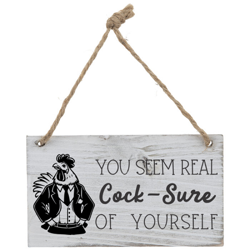  You Seem Real Cock-Sure Of Yourself Funny Sarcastic Chicken Sign - Multiple Sizes 