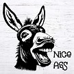 Nice Ass Donkey Sign - Add a Hilarious Touch to Your Bathroom Décor 