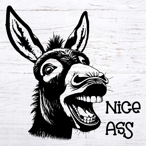 Nice Ass Donkey Sign - Add a Hilarious Touch to Your Bathroom Décor 