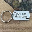 Best Dog Sitter Ever Keychain Thank You Gift 
