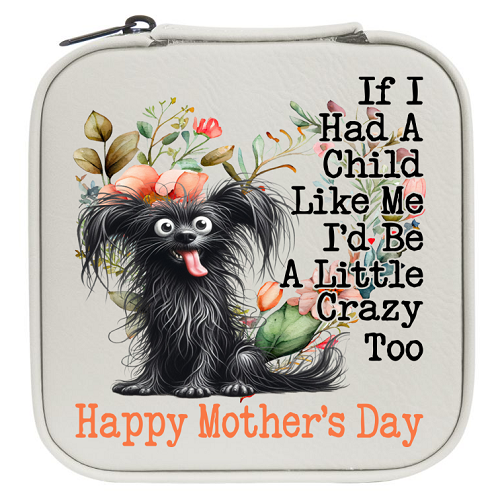  Personalized If I Had A Child Like Me Travel Jewelry Box - Funny Mother's Day Gift 