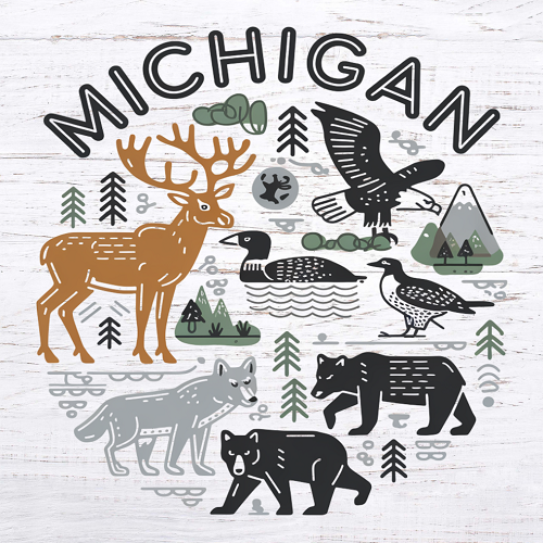  Michigan Wildlife Sign 