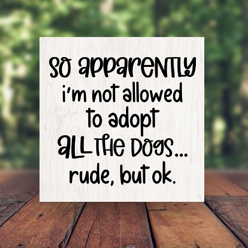 So Apparently Im Not Allowed To Adopt All The Dogs Rude But Ok Funny Dog Lover Sign - Multiple Sizes 