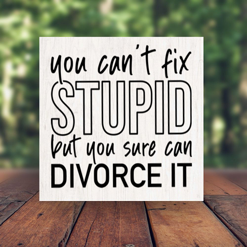 You Cant Fix Stupid But You Sure Can Divorce It Funny Relationship Sign - Multiple Sizes 