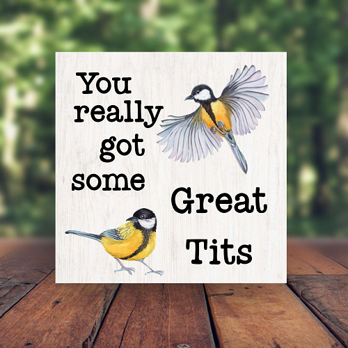  You Really Got Some Great Tits Funny Bird Lover Sign - Multiple Sizes 