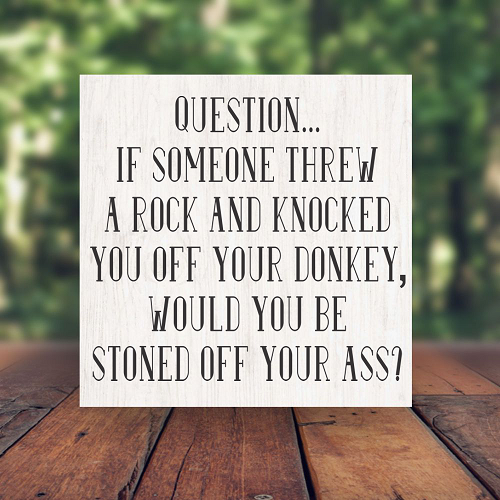 If Someone Threw A Rock...Stoned off Your Ass Funny Pun Sign - Multiple Sizes 
