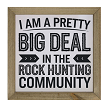  I Am A Pretty Big Deal Rock Hunting Community Framed Sign 
