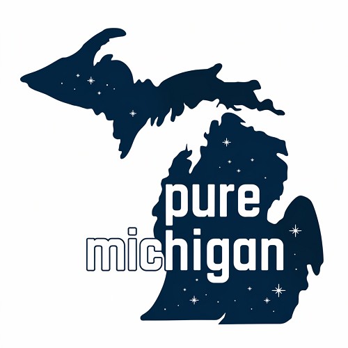  Pure Michigan Starry Silhouette Sign - Celebrate the Magic of Michigan Nights 