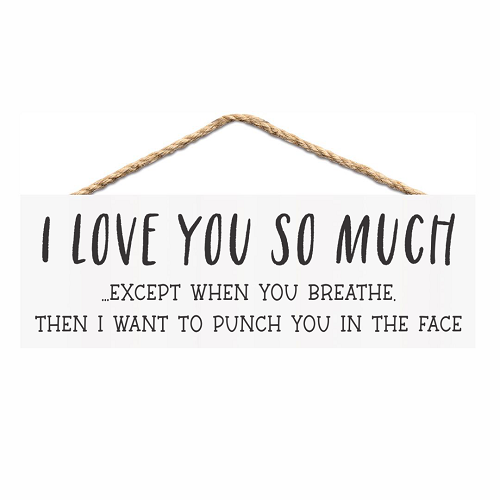 Funny I Love You So Much Except When You Breathe sarcastic relationship sign for husband wife boyfriend girlfriend or couples 
