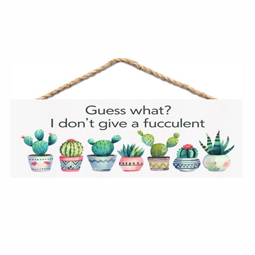 Funny cactus and succulent sign that says Guess what I don’t give a fucculent with colorful potted plants 