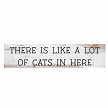 funny cat lover sign 