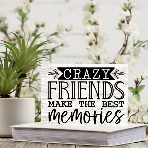 Crazy Friends Make The Best Memories Sign Friendship Gift for Your Best Friend 