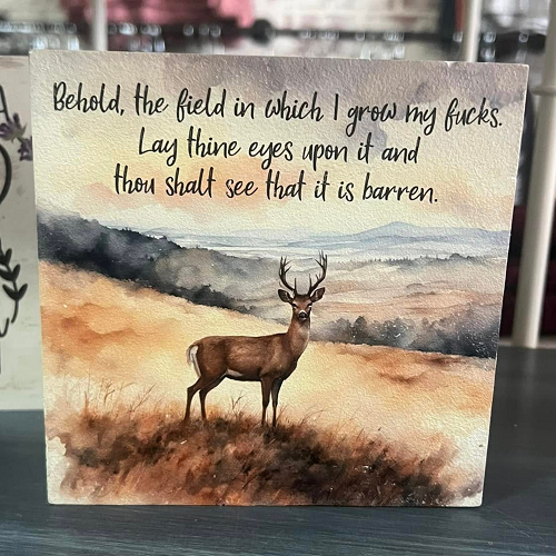 Behold The Field In Which I Grow My Fucks Sign Sarcastic Decor 