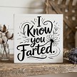 I Know You Farted Funny Bathroom Block Sign 