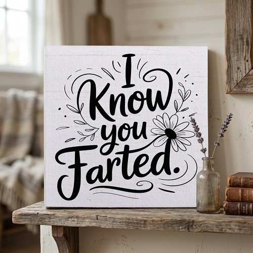 I Know You Farted Funny Bathroom Shelf Sitter Sign 