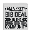  I Am A Pretty Big Deal Rock Hunting Community Canvas Sign - Multiple Sizes 